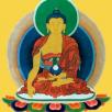 budda final gelb
